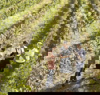 Beyond The Velvet Rope - Behind the Scenes Tour - Accommodation China