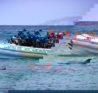Kangaroo Island 75-Minute Ocean Safari - Accommodation China