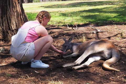 Adelaide Driving Tour - Accommodation Asia 0