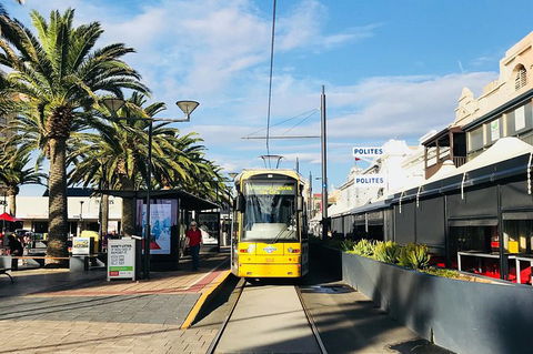 Adelaide Driving Tour - Accommodation Asia 2