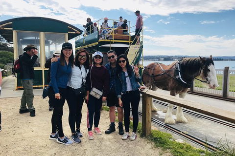 Adelaide Driving Tour - Accommodation Asia 3