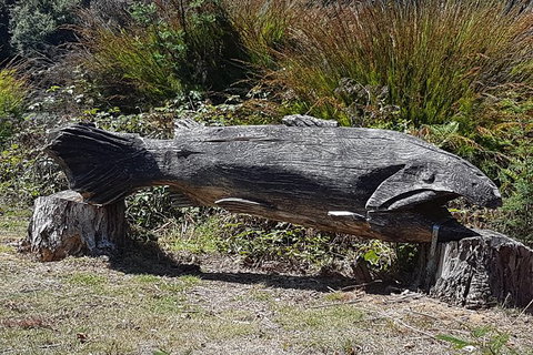 Cruise Ship Excursion: Gourmet Food & Wine - Accommodation Asia 10