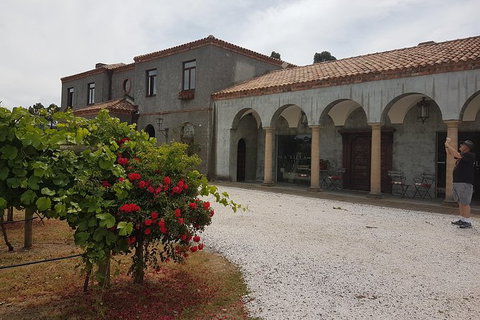 Cruise Ship Excursion: Gourmet Food & Wine - Accommodation Asia 18