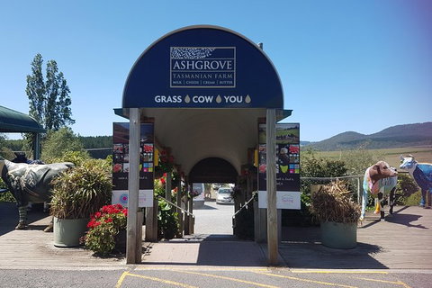 Cruise Ship Excursion: Gourmet Food & Wine - Accommodation Asia 8