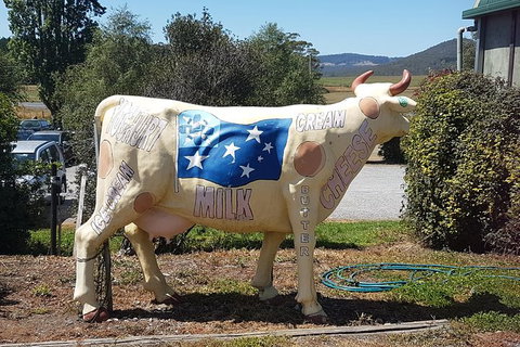 Cruise Ship Excursion: Gourmet Food & Wine - Accommodation Asia 12