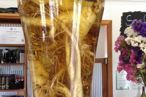 Cruise Ship Excursion: Gourmet Food & Wine - Accommodation Asia 14