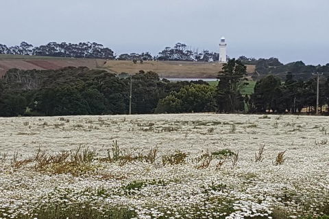 Cruise Ship Excursion: Stanley - Accommodation Asia 7