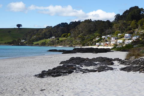 Cruise Ship Excursion: Stanley - Accommodation Asia 10