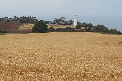 Cruise Ship Excursion: Stanley - Accommodation Asia 16