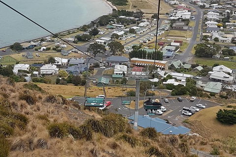 Cruise Ship Excursion: Stanley - Accommodation Asia 14