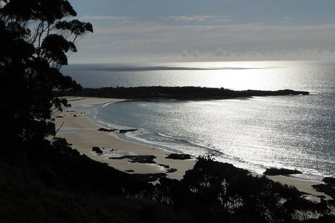 Cruise Ship Excursion: Stanley - Accommodation Asia 24