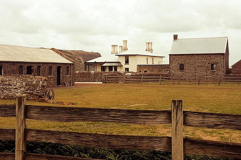 Cruise Ship Excursion: Stanley - Accommodation Asia 17