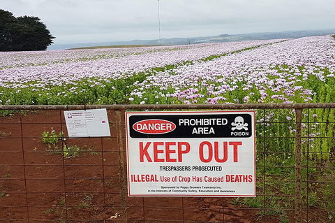 Cruise Ship Excursion: Stanley - Accommodation Asia 23