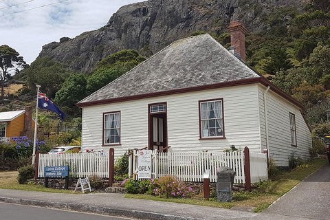 Cruise Ship Excursion: Stanley - Accommodation Asia 19