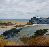 Shore Excursion Coast Caves and Wildlife Park - 8 hour tour - Accommodation Guide