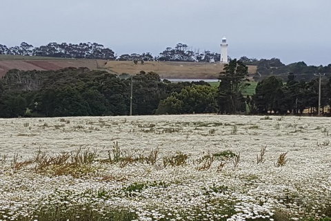 Cruise Ship Excursion: NW Tassie Coastal Explorer - Accommodation Asia 14