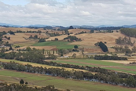 Cruise Ship Excursion: NW Tassie Coastal Explorer - Accommodation Asia 6