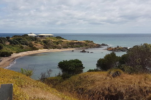 Cruise Ship Excursion: NW Tassie Coastal Explorer - Accommodation Asia 13