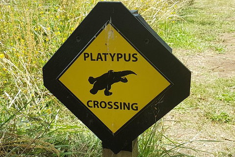 Cruise Ship Excursion: NW Tassie Coastal Explorer - Accommodation Asia 11