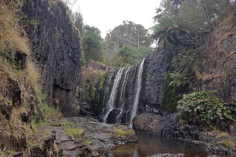 Cruise Ship Excursion: NW Tassie Coastal Explorer - Accommodation Asia 16