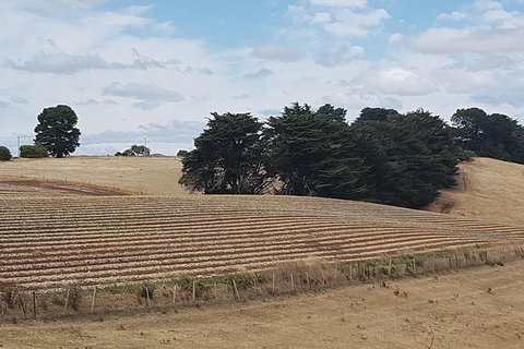 Cruise Ship Excursion: NW Tassie Coastal Explorer - Accommodation Asia 9