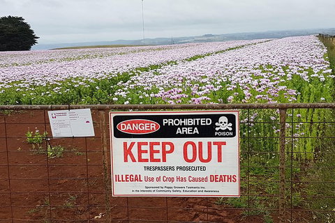 Cruise Ship Excursion: NW Tassie Coastal Explorer - Accommodation Asia 10