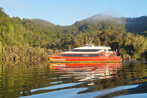 Afternoon Gordon River Dinner Cruise - Departing 3pm - Accommodation Asia 1