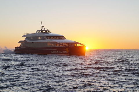 Afternoon Gordon River Dinner Cruise - Departing 3pm - Accommodation Asia 0