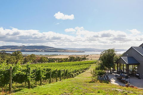 Launceston Wine & Sightseeing Tours - Accommodation Guide 0