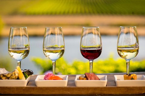 Launceston Wine & Sightseeing Tours - Accommodation Guide 4