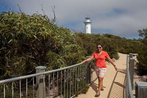 Half-Day Tour To Wineglass Bay From Launceston With Guide - Accommodation Guide 2