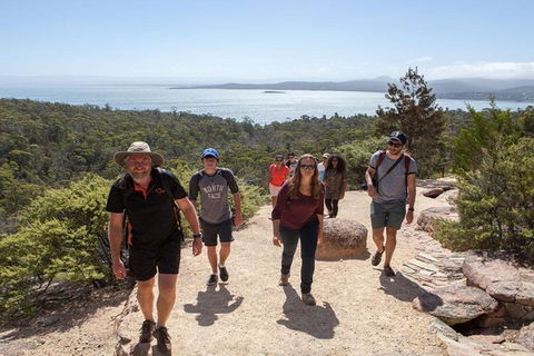 Half-Day Tour To Wineglass Bay From Launceston With Guide - Accommodation Guide 4