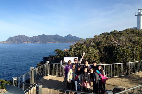 Half-Day Tour To Wineglass Bay From Launceston With Guide - Accommodation Guide 3