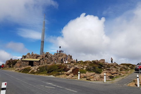 Mt. Wellington Morning Hike + Afternoon Beer & History Walk - Accommodation China 21