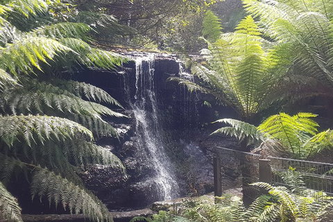 Mt. Wellington Morning Hike + Afternoon Beer & History Walk - Accommodation China 16