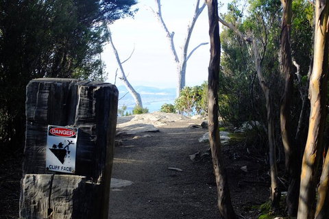 Mt. Wellington Morning Hike + Afternoon Beer & History Walk - Accommodation China 14