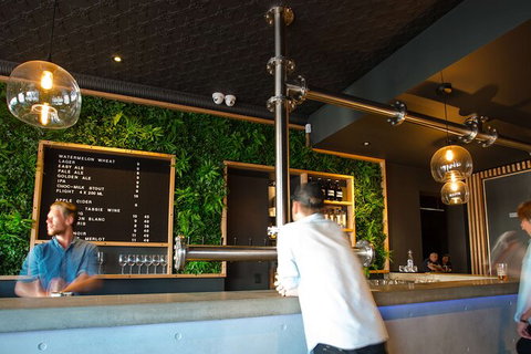 Mt. Wellington Morning Hike + Afternoon Beer & History Walk - Accommodation China 15