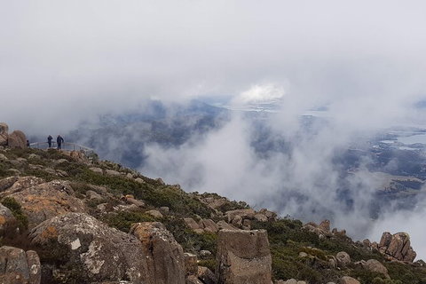 Mt. Wellington Morning Hike + Afternoon Beer & History Walk - Accommodation China 18