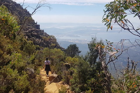 Mt. Wellington Morning Hike + Afternoon Beer & History Walk - Accommodation China 1