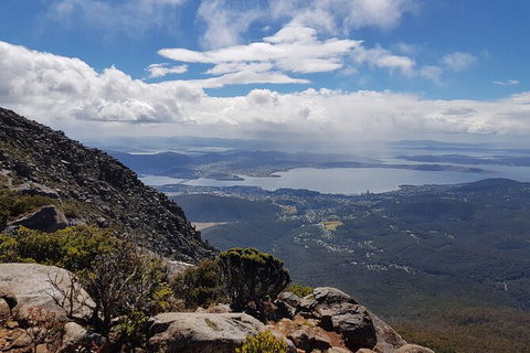 Mt. Wellington Morning Hike + Afternoon Beer & History Walk - Accommodation China 5