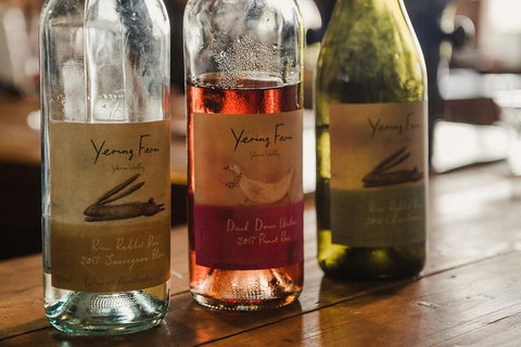 Yarra Valley Wine, Bubbles And Gin Tour! - Accommodation China 0