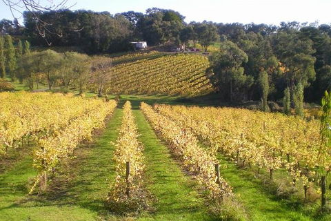 Macedon Ranges Winery Tour From Melbourne - Accommodation China 1