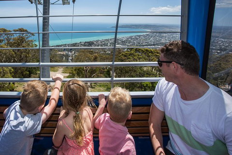 Enchanted Eagle Tour - Accommodation Asia 1