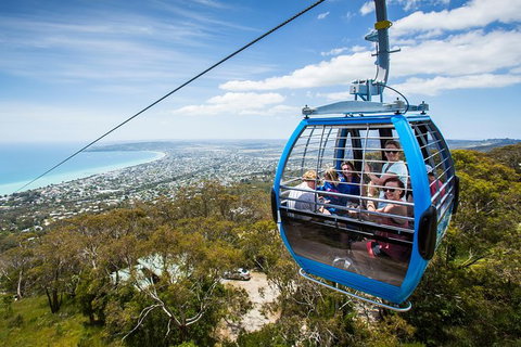 Enchanted Eagle Tour - Accommodation Asia 3