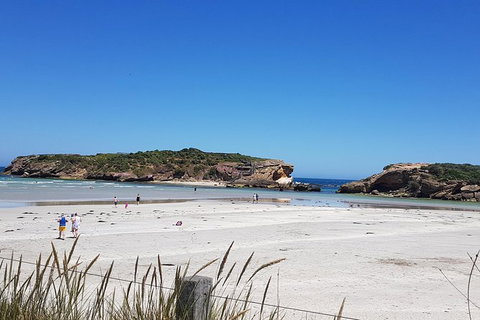 Warrnambool Wanderer Tour - Accommodation China 1