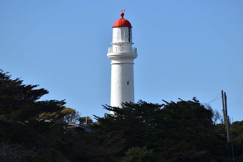 Great Ocean Road Tour Plus Koalas, Forest Walk And Morning Tea. - Accommodation Guide 1