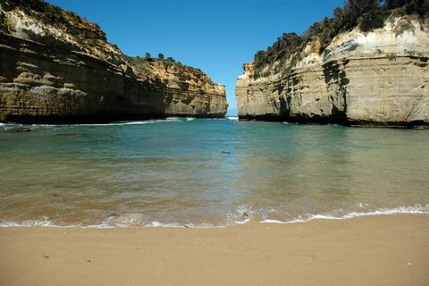 Great Ocean Road Tour Plus Koalas, Forest Walk And Morning Tea. - Accommodation Guide 4