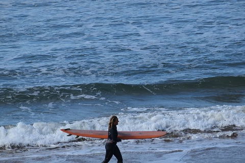 Great Ocean Road Tour Plus Koalas, Forest Walk And Morning Tea. - Accommodation Guide 8