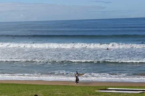 Great Ocean Road Tour Plus Koalas, Forest Walk And Morning Tea. - Accommodation Guide 9
