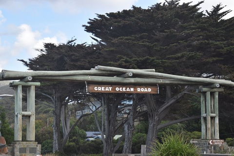Great Ocean Road Tour Plus Koalas, Forest Walk And Morning Tea. - Accommodation Guide 7